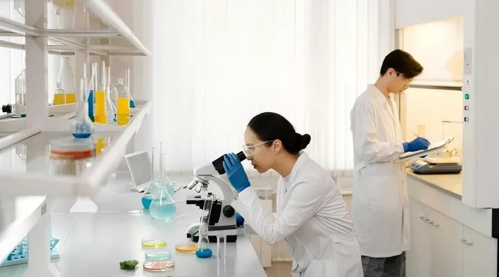 Экспертная команда R&D